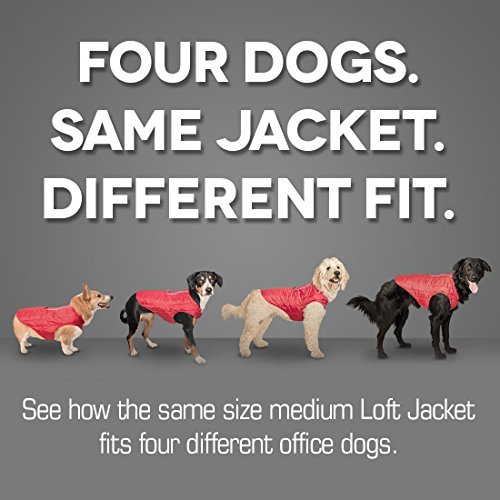 Kurgo Loft - Abrigo Reversible para Perros, Chaqueta Invierno para Mascotas, Impermeable, Reflectante - Rojo/Gris, XL