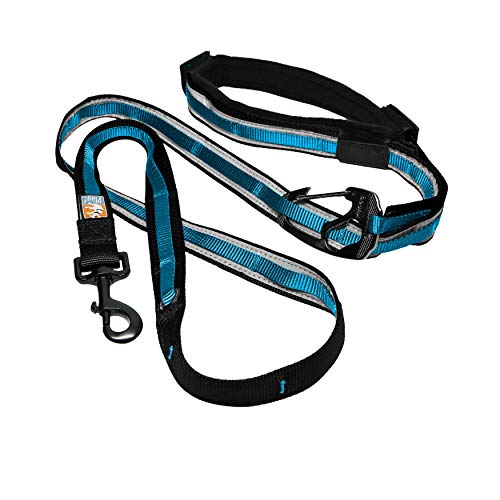 Kurgo Quantum - Correa Manos Libres para Perro, Correa de Cintura para Correr, Ajustable, Reflectante - Azul/Negro