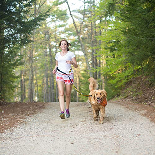 Kurgo Quantum - Correa Manos Libres para Perro, Correa de Cintura para Correr, Ajustable, Reflectante - Azul/Negro