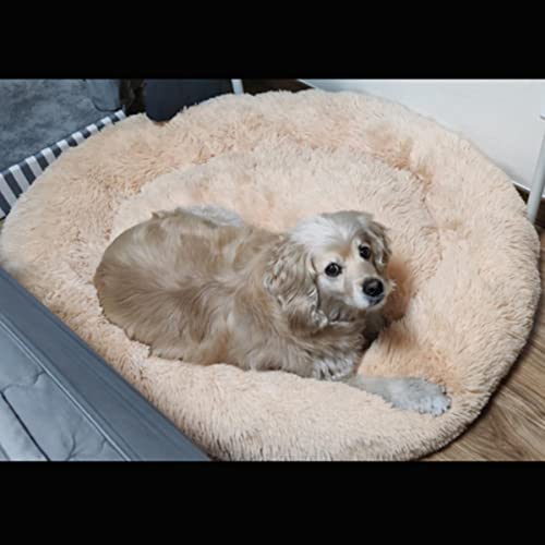 La Mejor Cama para Mascotas de Felpa Suave y Larga para Perros Grandes Cojín Redondo para Gatos Estera Cesta de Animales Sofá Accesorios para Productos para Mascotas-Gris Claro, 60, China