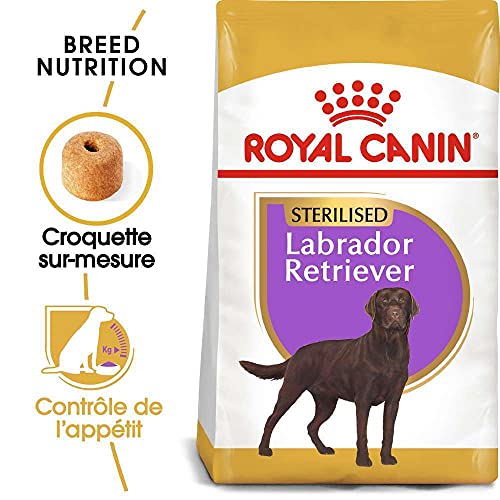 Labrador Retriever adulto stérilisé, a partir de 15 meses 12 kg – POR UN Saco