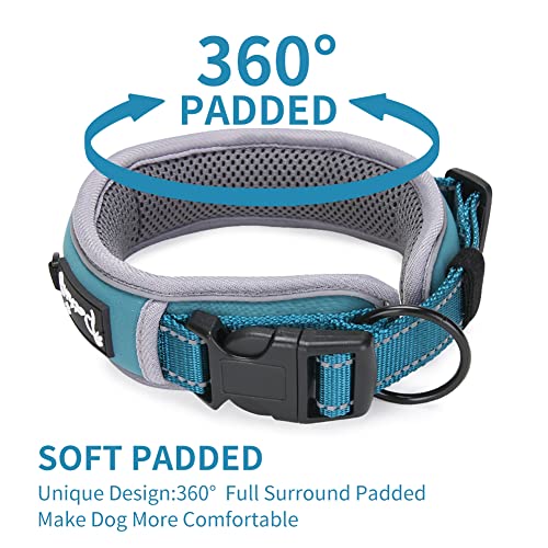 LALFPET Collares y correas para perros medianos y grandes, correa extra larga de 120 cm con mango suave, collar y reflector (azul M)