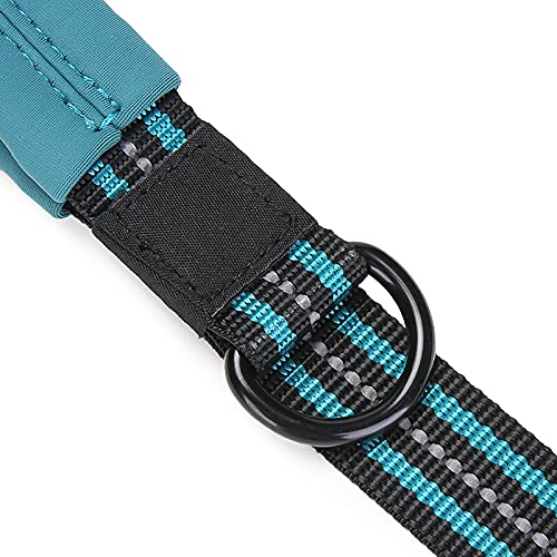 LALFPET Collares y correas para perros medianos y grandes, correa extra larga de 120 cm con mango suave, collar y reflector (azul M)