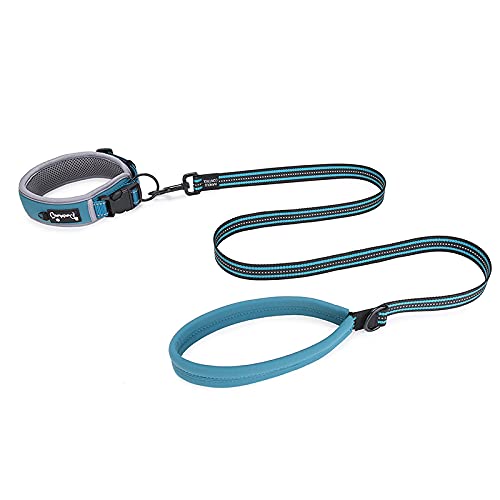 LALFPET Collares y correas para perros medianos y grandes, correa extra larga de 120 cm con mango suave, collar y reflector (azul M)