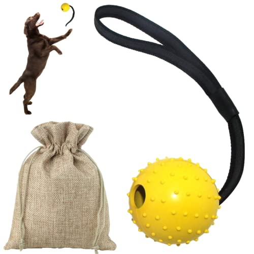 Lanzador de Pelotas para Perros pequeños y medianos + Bolsa de Transporte - Juguete Lanza Pelota frisfee Interactivo