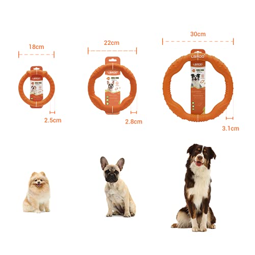 LaRoo Anillo de fitness para perros, disco volador, juguete indestructible, entrenamiento para mascotas en verano para perros medianos y pequeños (22 cm, naranja)