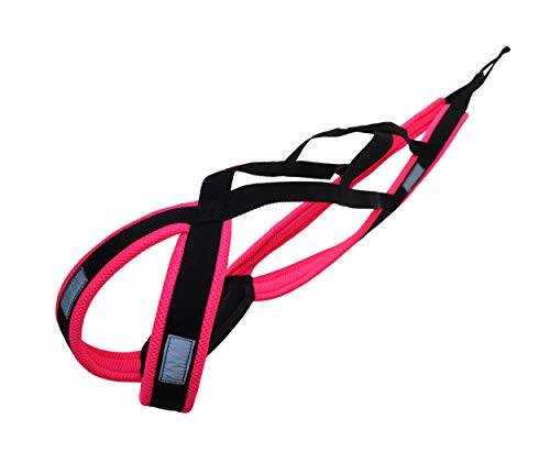 LASALINE Arnés para Perros X-Back para Bicicleta Canicross, esquí, jöring, Patinete, Color Negro neón Rosa