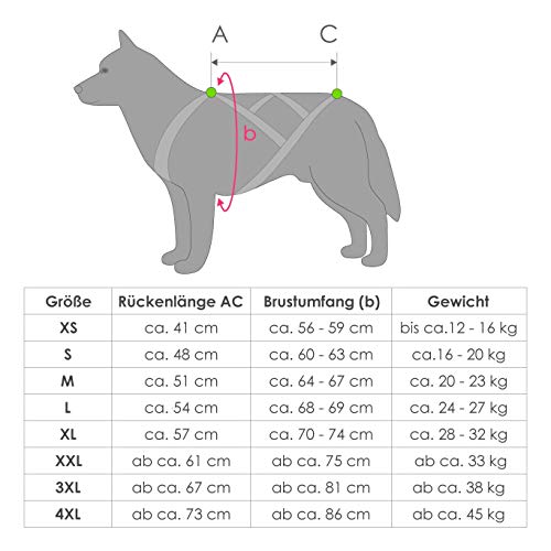 LasaLine Arnés para perros X-Back para bicicleta Canicross y patinetes