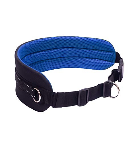 LASALINE Canicross - Cinturón abdominal para jogging o senderismo, color negro y azul oscuro