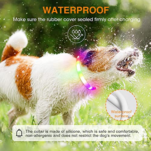 LED Collar de Perro de Mascota,Collar Luminoso Perro Recargable, Collar Luz Perros Impermeable, Collar LED Perro para Perros Pequeños Cachorro,Medianos y Grandes,Collar Reflectante Perro de Seguridad