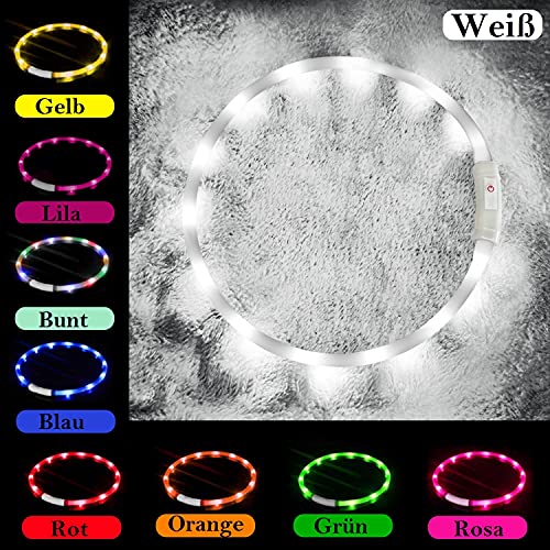 LED Collar Perro Collar de LED Recargable, Ajustable Collares LED para Perros Pequeños/Medianos/Grandes, para Mascotas de Seguridad para Perros y Gatos, 4 Modos de 12 Luces(Blanco)