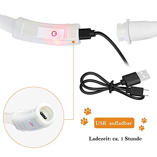 LED Collar Perro Collar de LED Recargable, Ajustable Collares LED para Perros Pequeños/Medianos/Grandes, para Mascotas de Seguridad para Perros y Gatos, 4 Modos de 12 Luces(Blanco)