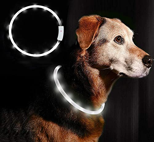 LED Collar Perro Collar de LED Recargable, Ajustable Collares LED para Perros Pequeños/Medianos/Grandes, para Mascotas de Seguridad para Perros y Gatos, 4 Modos de 12 Luces(Blanco)