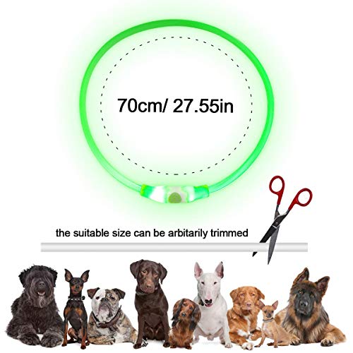 LED Collar Perro Collar de Seguridad, Collar de Perro de Mascota, Collar Luminoso Perro de Mascota, USB Recargable Collar de Seguridad para Mascotas Impermeable hasta (Green)