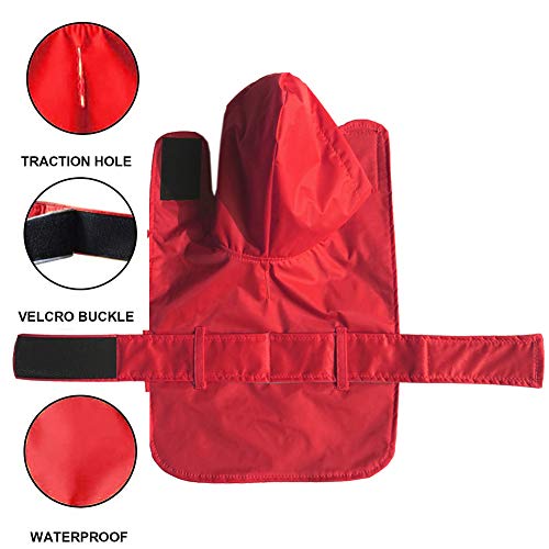 LeerKing Chubasquero para Perros Chaqueta para Lluvia Impermeable Mascota Perro con Capucha Resistente al Agua Abrigo de Invierno para Perros Pequeños y Medianos, Rojo M