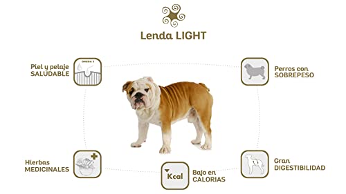 Lenda Light - Alimento Completo de Pollo Bajo en Calorias para Perros Adultos con Sobrepeso o Tendencia a Engordar | Facilita el Control y la Reducción de Peso [6kg]