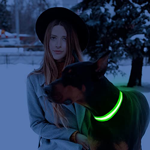 Liebsen Collar Luminoso Perro de Mascota, Collar Recargable 3 Modos y Collares LED Ajustable para Perros Diferentes Luminoso en la Noche-S(Verde)