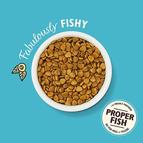 Lily's Kitchen Fabulous Fish Dry Cat Food (2kg)