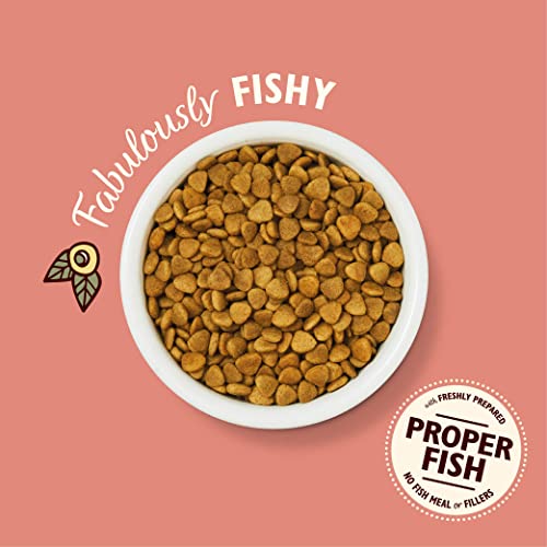 Lily's Kitchen Fabulous Fish Dry Cat Food (2kg)