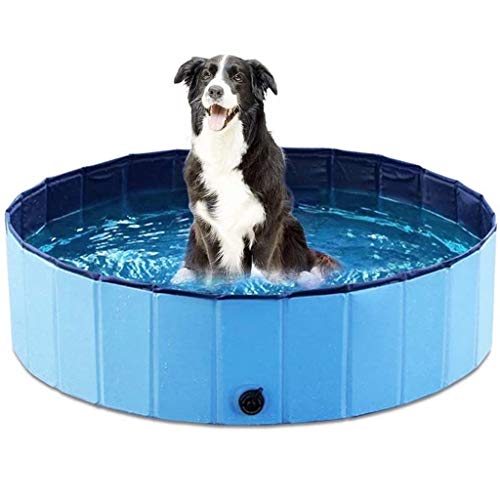 LIMUZI Grande Plegable for Mascotas Bañera Perro de Perrito de Piscina niños múltiples Azul de la Ducha Cubierta al Aire Libre Dia 63 Inchs (Size : L)