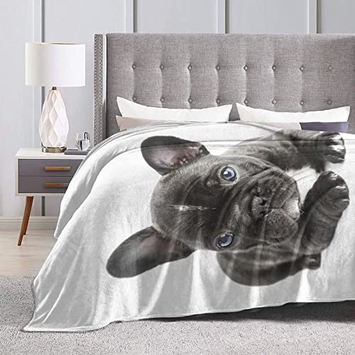 Lindo Bulldog Francés Manta Dulce Perro Cachorro Cachorros Perro Ligero Cálido Suave Acogedor Cálido Decoración del Hogar, Divertido Perro Foto Invierno Regalo Idea Mantas 60"x50"