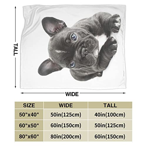 Lindo Bulldog Francés Manta Dulce Perro Cachorro Cachorros Perro Ligero Cálido Suave Acogedor Cálido Decoración del Hogar, Divertido Perro Foto Invierno Regalo Idea Mantas 60"x50"