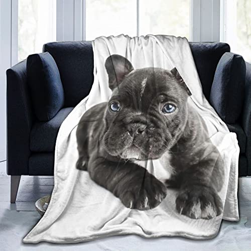 Lindo Bulldog Francés Manta Dulce Perro Cachorro Cachorros Perro Ligero Cálido Suave Acogedor Cálido Decoración del Hogar, Divertido Perro Foto Invierno Regalo Idea Mantas 60"x50"