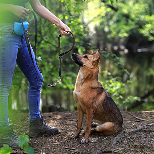 lionto Collar de perros collar retriever collar de adiestramiento 60 cm Ø 1 cm Marrón