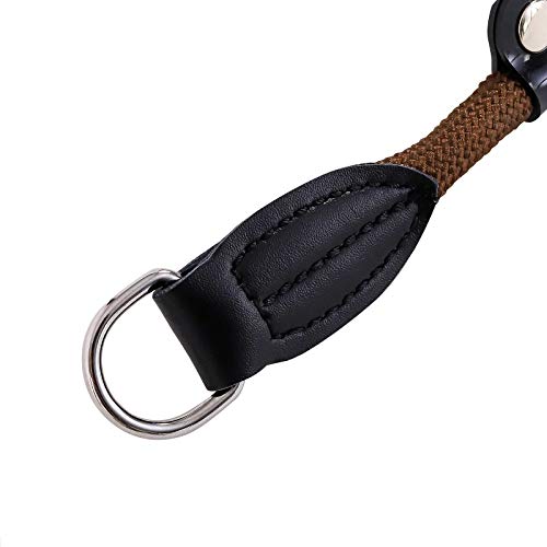 lionto Collar de perros collar retriever collar de adiestramiento 60 cm Ø 1 cm Marrón