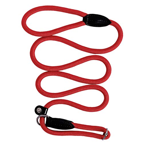 lionto Correa Retriever correa de perro correa de entrenamiento longitud 170 cm Rojo