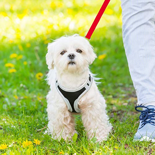 LITSPOT Correas Básicas para Perros,15M Rojo Correa de Perro Obediente Cuerda Nylon Largo Mascota Perro Formación Correa de Entrenamiento Llevar