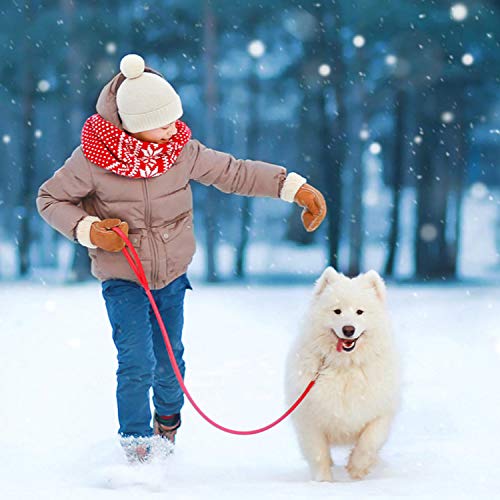 LITSPOT Correas Básicas para Perros,15M Rojo Correa de Perro Obediente Cuerda Nylon Largo Mascota Perro Formación Correa de Entrenamiento Llevar