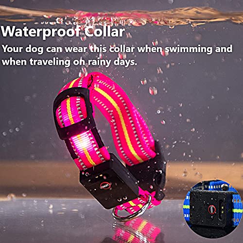 LKJYBG Collar Luminoso LED para Perro, Recargable por USB, Resistente al Agua, Collar de Seguridad para Mascotas, con Longitud Ajustable,Adecuado para Muchos Tipos de Mascotas, Color Rosa M