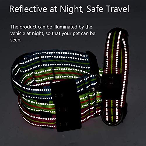 LKJYBG Collar Luminoso LED para Perro, Recargable por USB, Resistente al Agua, Collar de Seguridad para Mascotas, con Longitud Ajustable,Adecuado para Muchos Tipos de Mascotas, Color Rosa M