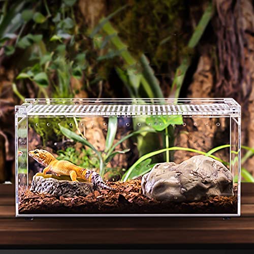 LLSS Caja de ventilación arbórea acrílica, Tienda de Mascotas, Reloj de Cuerpo Vivo, hábitat de camaleón, cría de Razas, Lagarto, Rana, terrario, Jaula Transparente para repti