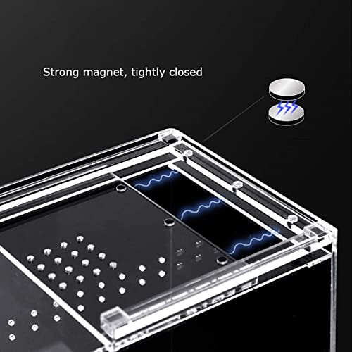 LLSS Caja de ventilación arbórea acrílica, Tienda de Mascotas, Reloj de Cuerpo Vivo, hábitat de camaleón, cría de Razas, Lagarto, Rana, terrario, Jaula Transparente para repti