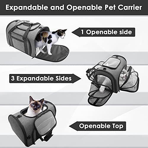 Looxmeer Transportín Gato, Transportador Perro de Viaje, Bolsa Transporte Extensible Plegable Portátil Transpirable, con Alfombrilla y Cinturón de Seguridad, para Mascotas Menos de 6kg/14bls, Negro