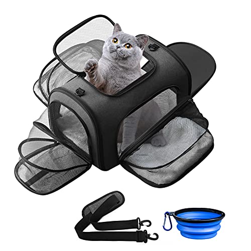 Looxmeer Transportín Gato, Transportador Perro de Viaje, Bolsa Transporte Extensible Plegable Portátil Transpirable, con Alfombrilla y Cinturón de Seguridad, para Mascotas Menos de 6kg/14bls, Negro