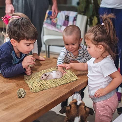 LOPOTIN 2pcs Bolas de Conejo 2pcs Cama Masticable Juguetes Conejos Pelota Mascota Pequeño Animal Actividad Juguete Esteras Natural para Chinchillas Hámster Parrot Guinea Pig Loros cobayas y Hurón