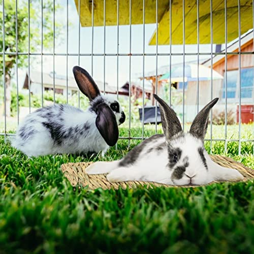 LOPOTIN 2pcs Bolas de Conejo 2pcs Cama Masticable Juguetes Conejos Pelota Mascota Pequeño Animal Actividad Juguete Esteras Natural para Chinchillas Hámster Parrot Guinea Pig Loros cobayas y Hurón