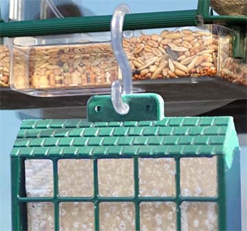 Lou's Nature Store - Alimentador de ventana y soporte para suet