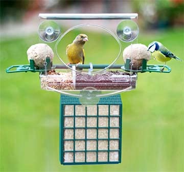 Lou's Nature Store - Alimentador de ventana y soporte para suet