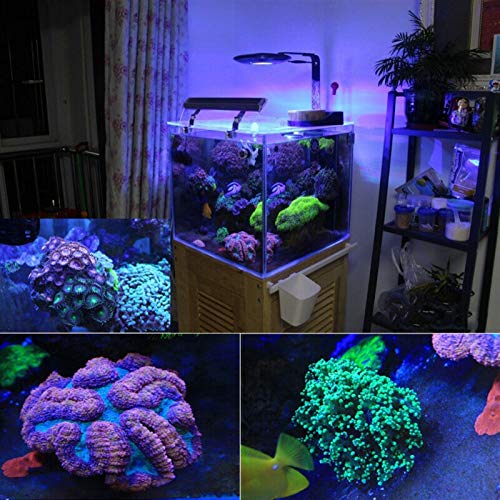 LTH-GD Accesorios para AQUARI 80W LED programable Agua Salada luz Luces Agua de mar Marino de Arrecife de Coral de Tanque Acuario Iluminación de Fondo la Salida del Sol Tortugas