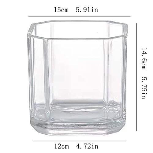 luckxuan Peceras Tanque de Peces Transparente de Vidrio Cuadrado Simple pequeño Betta Ornamental Tortuga Tortuga Agua Planta Tanque Acuarios (Size : 4.72IN)