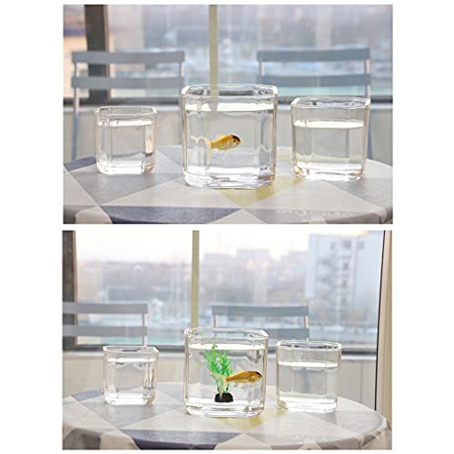 luckxuan Peceras Tanque de Peces Transparente de Vidrio Cuadrado Simple pequeño Betta Ornamental Tortuga Tortuga Agua Planta Tanque Acuarios (Size : 4.72IN)