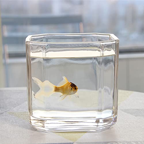 luckxuan Peceras Tanque de Peces Transparente de Vidrio Cuadrado Simple pequeño Betta Ornamental Tortuga Tortuga Agua Planta Tanque Acuarios (Size : 4.72IN)