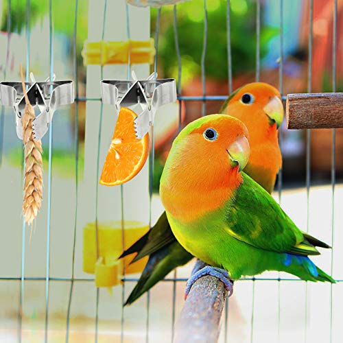 LuluDa 5pcs Comedero para Pajaros Clip de Alimentación para Loros Aves Comida Titular Abrazadera Accesorios Jaula de Pájaros Clip de Comida para Loros Canarios Periquitos