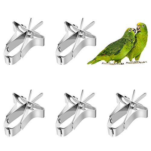 LuluDa 5pcs Comedero para Pajaros Clip de Alimentación para Loros Aves Comida Titular Abrazadera Accesorios Jaula de Pájaros Clip de Comida para Loros Canarios Periquitos