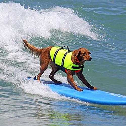 LVGOD Chaleco Salvavidas para Perros con Ajustable Seguridad Natación Chaleco Ayuda A La Flotabilidad para Perros Pequeños Medianos Grandes