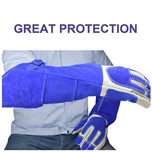 LY-Rack Guacamayo Monje Periquito Periquito Sol Guantes Anti Mordida Manejo de Animales Guantes de Cuero Suave a Prueba de arañazos Guantes Protectores Resistentes a Las mordeduras (Size : XL)